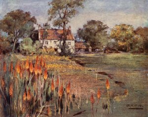 Giardini Scozzesi: Vivaio di Cocker, Aberdeen da Mary Georgina Wade Wilson