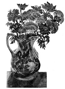 Anemoni da Mary Kuper