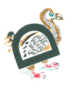 D è per dodo da Mary Kuper