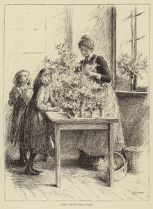 Illustrazione per La Storia di un