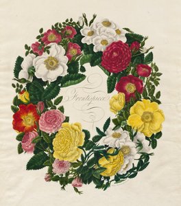 Una corona di rose, 1799