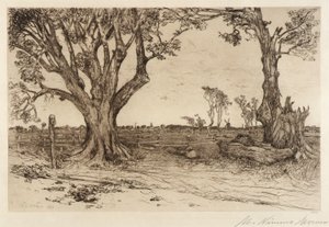 Vecchi tigli - vicino a Easthampton da Mary Nimmo Moran