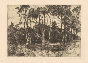 Solitudine da Mary Nimmo Moran