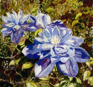 Clematide da Mary Smith