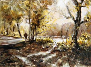 Passeggiando accanto al lago Rudyard da Mary Smith