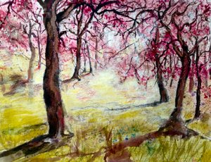 Fiori magenta da Mary Smith