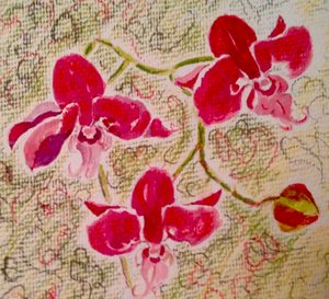 Orchidee da Mary Smith
