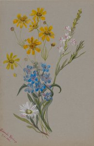Senza titolo, Gruppo di fiori, 1883