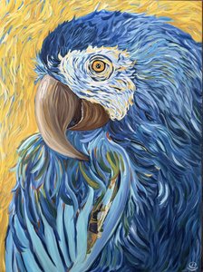 Ara blu brillante da Maryna Kovalchuk