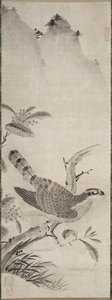 Falco, metà del 1500 da Masayoshi Fujiwara