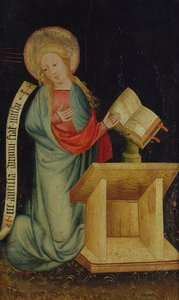 Vergine dell