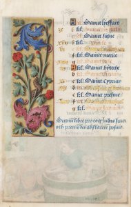 Pannello floreale con acanto, rosa e bruco, dalle Ore di Luigi XII, 1498-99
