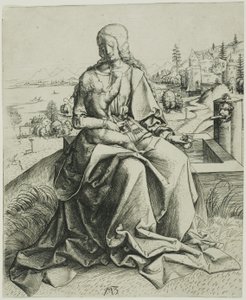 La Madonna della fontana da Master MZ