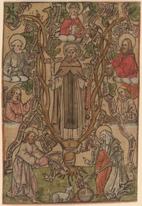 San Domenico da Master S