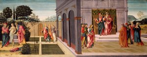 Susanna e i vecchioni nel giardino, e il processo di Susanna davanti ai vecchioni da Master of Apollo and Daphne