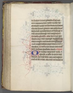 Libro d