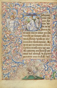 Iniziale D: Il lamento da Master of Jean Rolin II (Hand B)