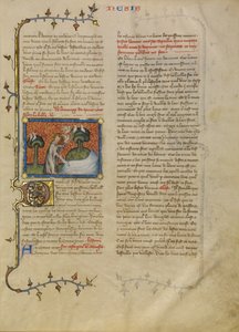 La creazione di uccelli e pesci da Master of Jean de Mandeville