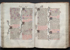 Il Messale di Gotha: Fol. 66r, Testo