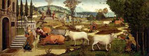 Le Passioni di Pasifae, moglie del Re Minosse di Creta, dalla Storia di Teseo da Master of the Campana Cassoni
