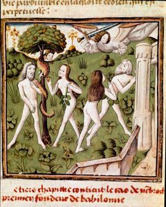 Adamo ed Eva che raccolgono il frutto proibito. Miniatura del Maestro del Campione delle Dame (XV secolo) dal manoscritto 