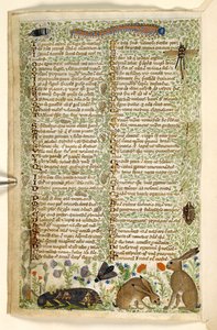 Conigli e insetti, tra cui un bruco, una libellula e una falena, da un Trattato sulle Virtù e i Vizi, e una storia anonima in prosa della Sicilia (frammento), c.1330-40 da Master of the Cocharelli Codex