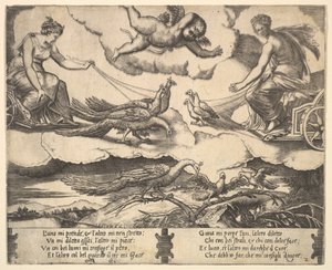Allegoria del matrimonio e dell