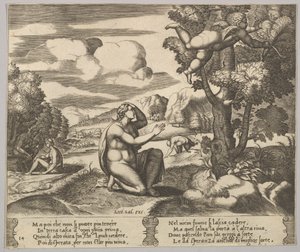 Tavola 14: Cupido in volo fugge da Psiche, da 