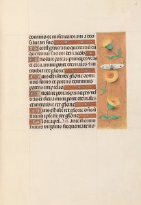 Ore di Isabella la Cattolica, Regina di Spagna: Fol. 103r, c. 1500 da Master of the First Prayerbook of Maximillian