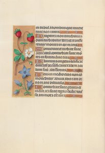 Ore di Isabella la Cattolica, Regina di Spagna: Fol. 105v, c. 1500 da Master of the First Prayerbook of Maximillian