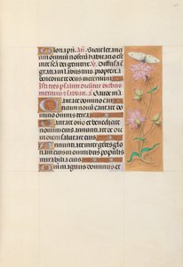 Ore della regina Isabella la Cattolica, regina di Spagna:  Fol. 107r da Master of the First Prayerbook of Maximillian