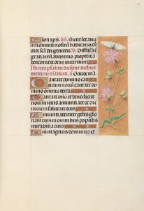 Ore di Isabella la Cattolica, regina di Spagna: Fol. 107r, c. 1500 da Master of the First Prayerbook of Maximillian