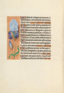 Ore di Isabella la Cattolica, Regina di Spagna: Fol. 108v, c. 1500 da Master of the First Prayerbook of Maximillian