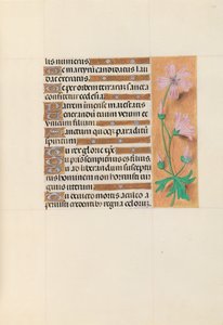 Ore di Isabella la Cattolica, regina di Spagna: Fol. 113r, c. 1500 da Master of the First Prayerbook of Maximillian