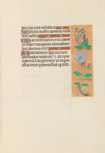 Ore di Isabella la Cattolica, regina di Spagna: Fol. 114r, c. 1500 da Master of the First Prayerbook of Maximillian