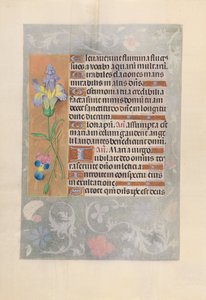 Ore di Isabella la Cattolica, Regina di Spagna: Fol. 116v da Master of the First Prayerbook of Maximillian