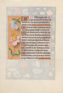 Ore di Isabella la Cattolica, Regina di Spagna: Fol. 127v
