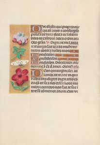 Ore di Isabella la Cattolica, Regina di Spagna: Fol. 129v, c. 1500 da Master of the First Prayerbook of Maximillian