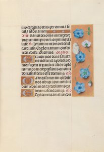 Ore di Isabella la Cattolica, Regina di Spagna: Fol. 130r, c. 1500 da Master of the First Prayerbook of Maximillian