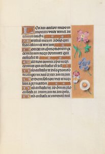 Ore di Isabella la Cattolica, Regina di Spagna: Fol. 133r, c. 1500 da Master of the First Prayerbook of Maximillian