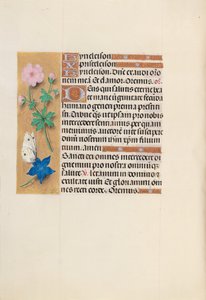 Ore di Isabella la Cattolica, Regina di Spagna: Fol. 134v, c. 1500 da Master of the First Prayerbook of Maximillian