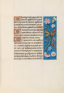 Ore di Isabella la Cattolica, regina di Spagna: Fol. 135r da Master of the First Prayerbook of Maximillian