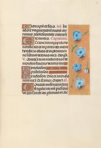 Ore di Isabella la Cattolica, regina di Spagna: Fol. 139r