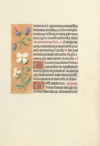 Ore di Isabella la Cattolica, Regina di Spagna: Fol. 139v, c. 1500 da Master of the First Prayerbook of Maximillian