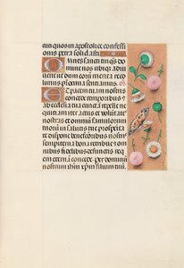 Ore della Regina Isabella la Cattolica, Regina di Spagna: Fol. 145r