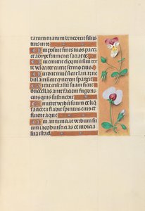 Ore di Isabella la Cattolica, Regina di Spagna: Fol. 150r, c. 1500 da Master of the First Prayerbook of Maximillian