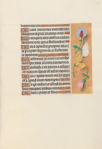 Ore di Isabella la Cattolica, Regina di Spagna: Fol. 156r