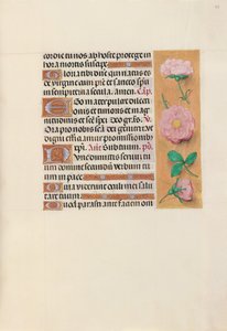 Ore di Isabella la Cattolica, regina di Spagna: Fol. 157r, c. 1500