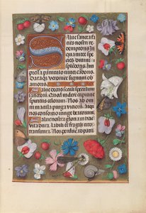 Ore di Isabella la Cattolica, Regina di Spagna: Fol. 15r, c. 1500 da Master of the First Prayerbook of Maximillian