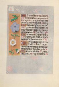 Ore della Regina Isabella la Cattolica, Regina di Spagna: Fol. 160v, c. 1500